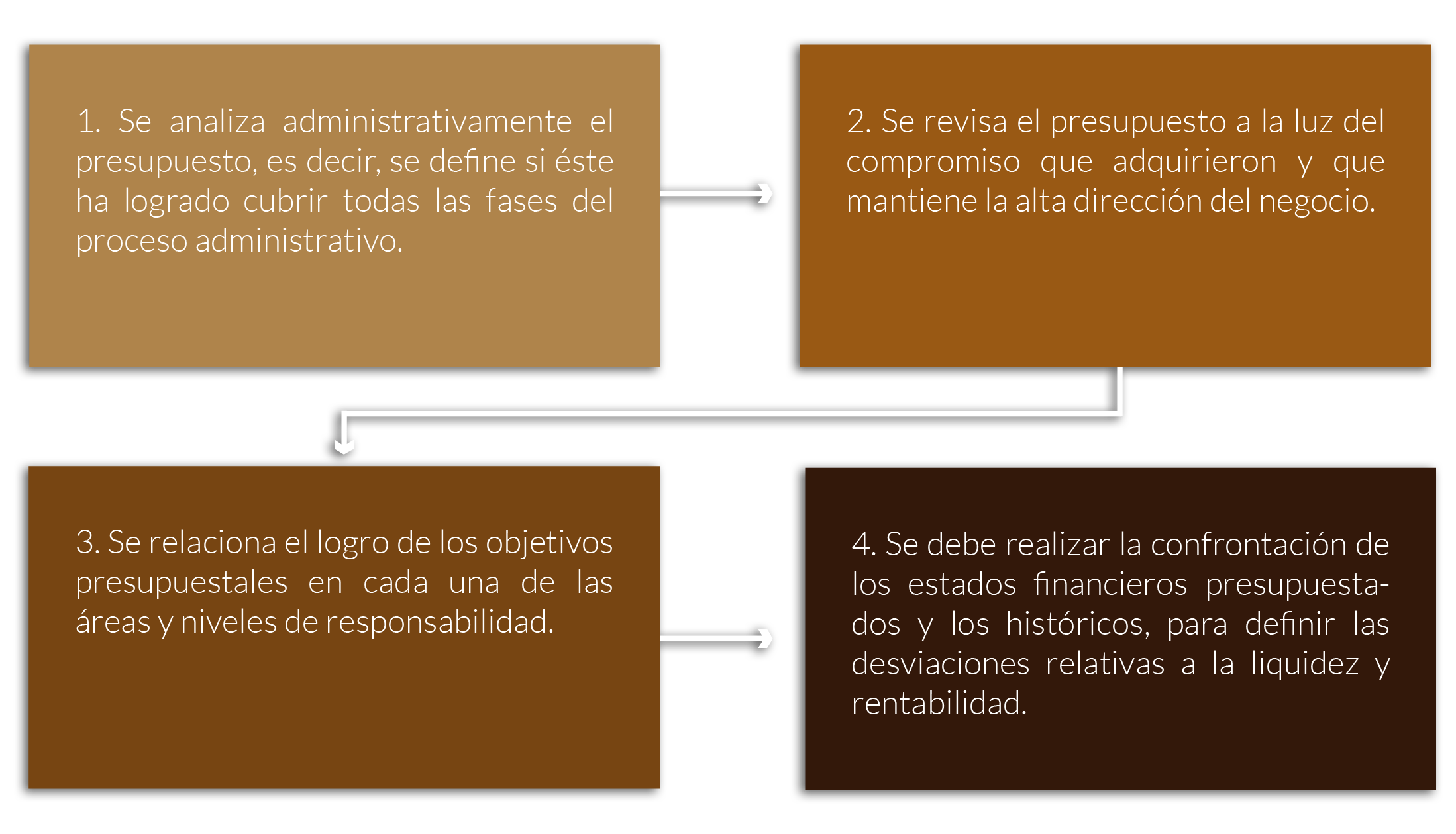 esquema sobre los niveles bajo los cuales se ejerce el control presupuestal.