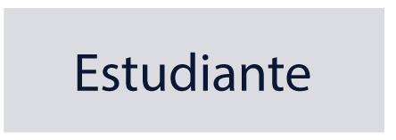 Rectángulo representando una entidad