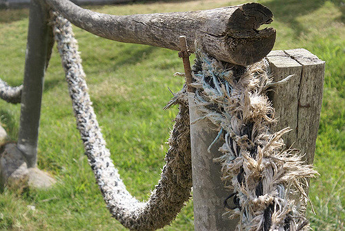 Cuerda a punto de romper