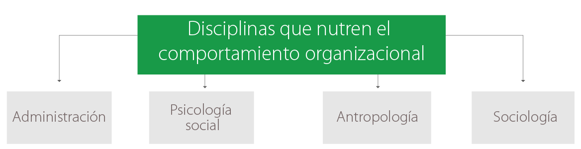 Diagrama con las disciplinas que apoyan el comportamiento organizacional