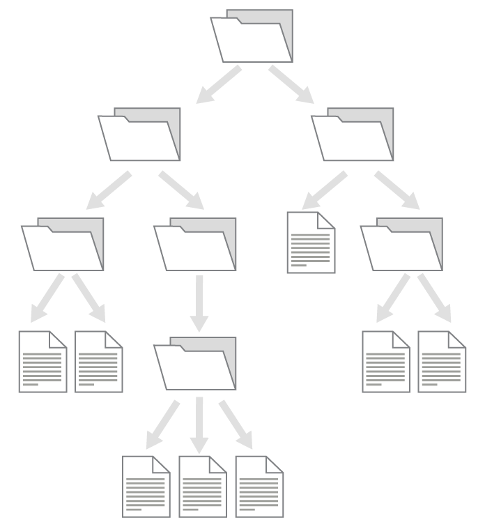 Archivos organizados en carpetas.