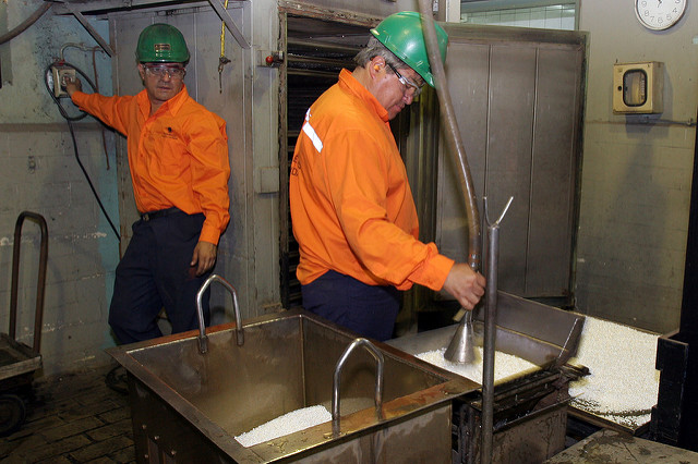 Trabajadores en fábrica