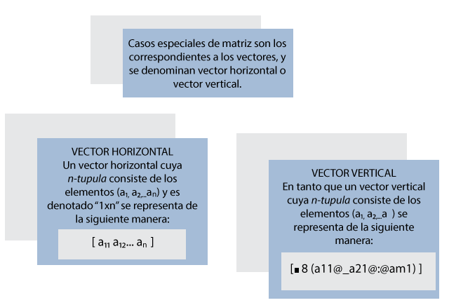 Cuadro sobre tipos de vectores