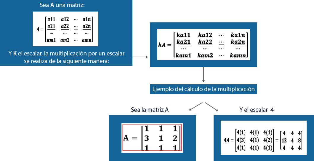 Multiplicación por escalar.