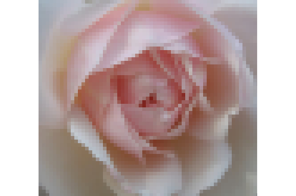 Fotografía de una flor descompuesta en pixeles