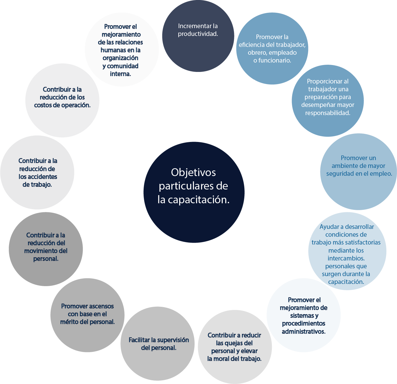 esquema mostrando los trece objetivos particulares de la capacitación.