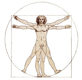 Hombre de Vitruvio