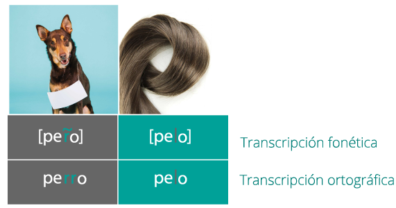 Ejemplo del objeto de estudio de la fonética.