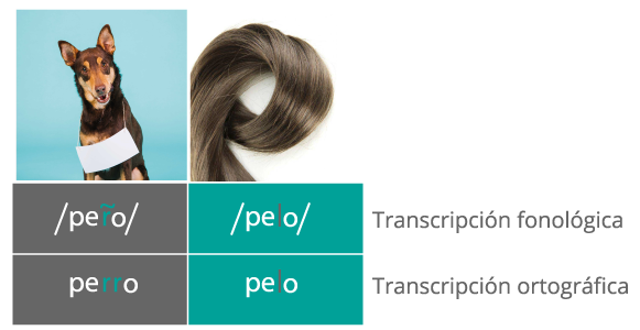 Ejemplo de la diferenciación de un signo lingüístico.