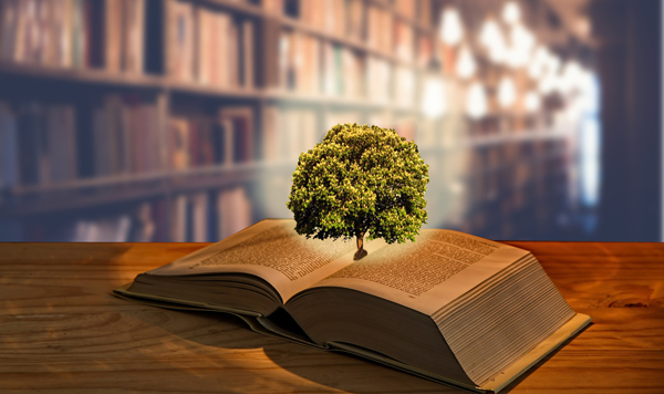  Árbol sobre un libro, mostrando la relación de la filosofía con el mundo