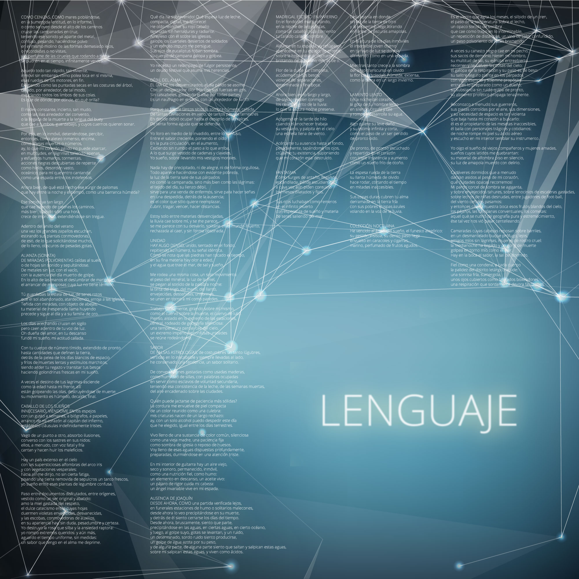 La función del lenguaje