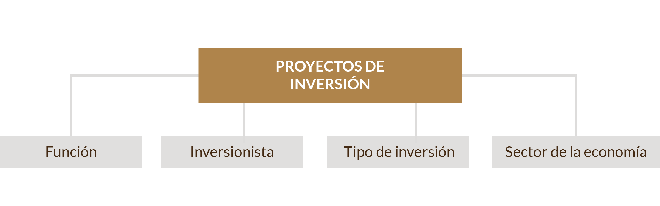 Esquema de clasificación en cuatro rubros de los proyectos de inversión