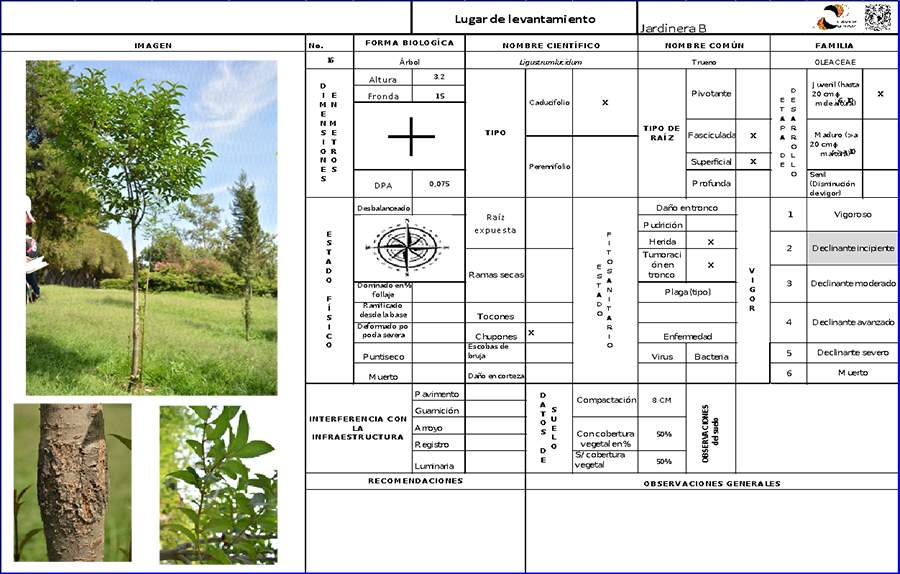 Ilustración con una propuesta de levantamiento