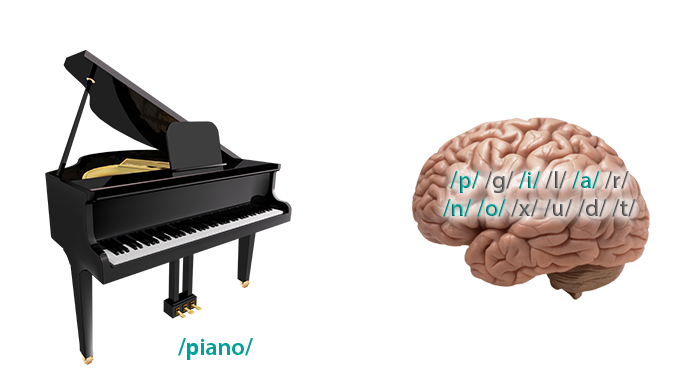 Formar signos lingüísticos, una de las funciones del lenguaje