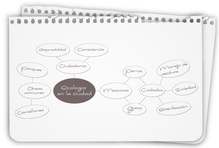 Imagen de un mapa conceptual  en la que se muestran organizadas ideas del tema ecología en la ciudad.
