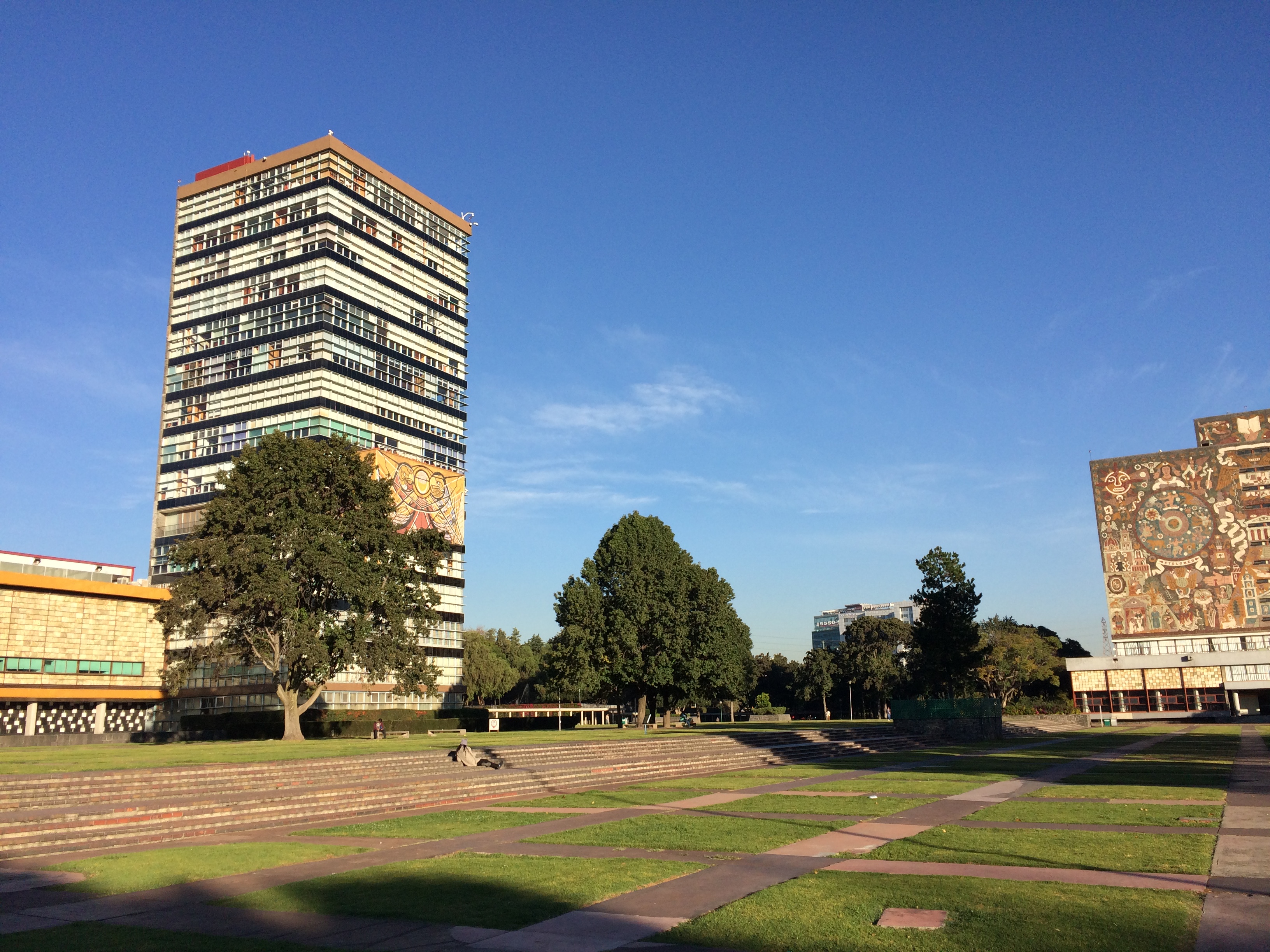 Fotografía tomada por Francisco Gómez del campus central de la Universidad Nacional Autónoma de México