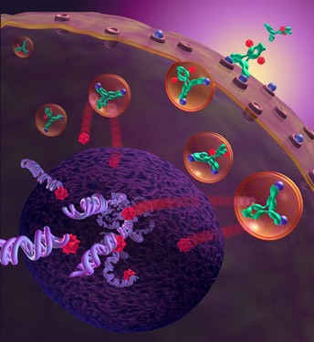 GPlasmatic Protein graphic