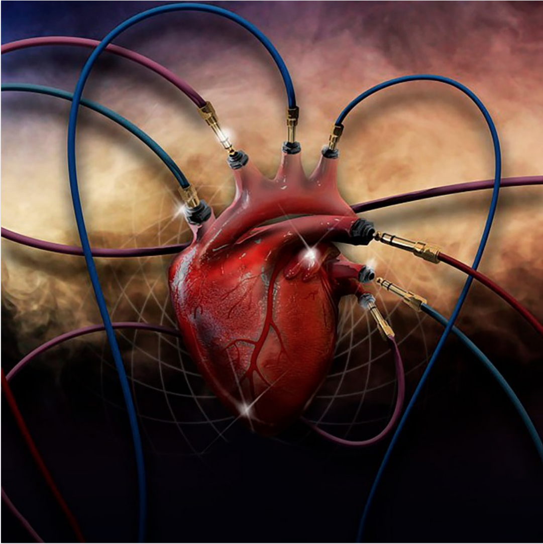 Gráfico de corazón