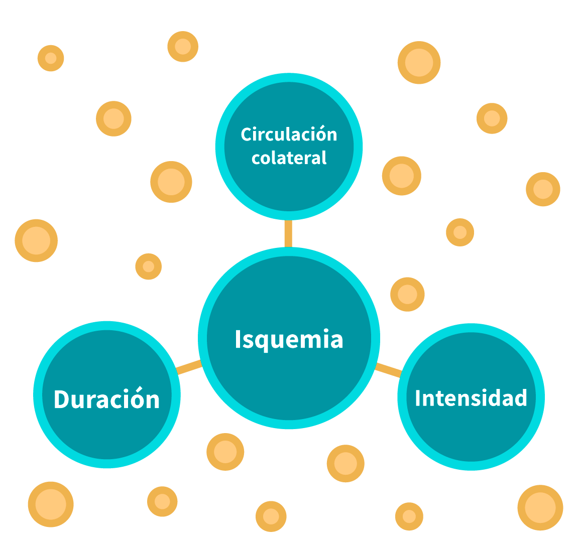 Factores de la isquemia cerebral