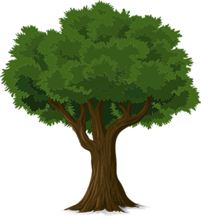 Imagen de un árbol