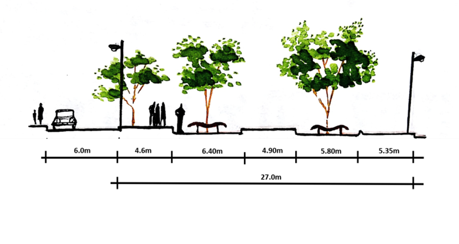 Ilustración que muestra camellones y árboles