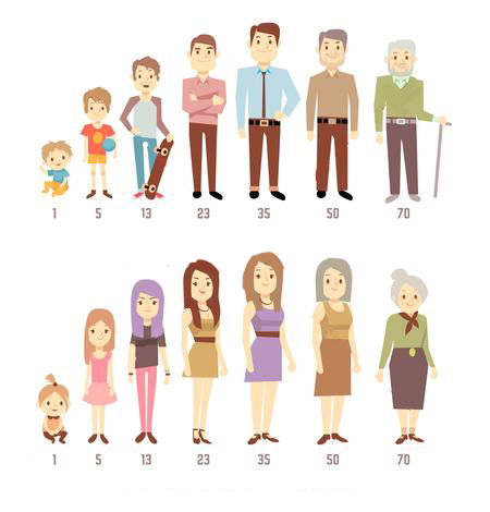 Hombre y mujer en diferentes etapas o edades. 