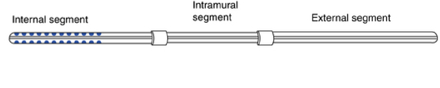 Three types of catheter for peritoneal dialysis