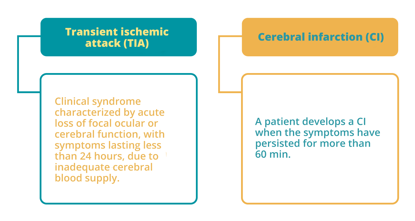 Classification of a cerebral vascular event (Barinagarrementeria and Cantú, 2003)