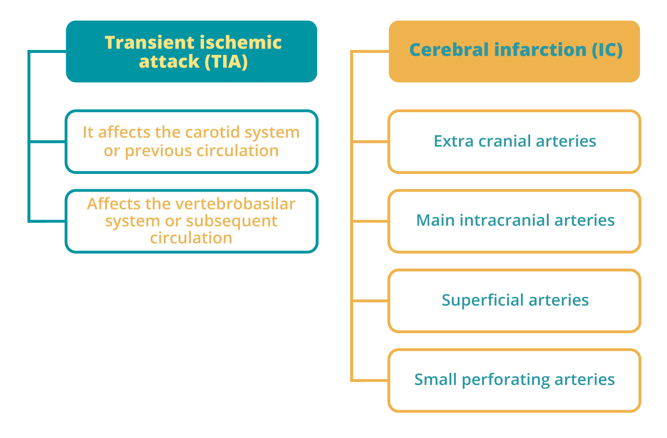 Clinical subclassification of a cerebral vascular event (Barinagarrementeria and Cantú, 2003)
