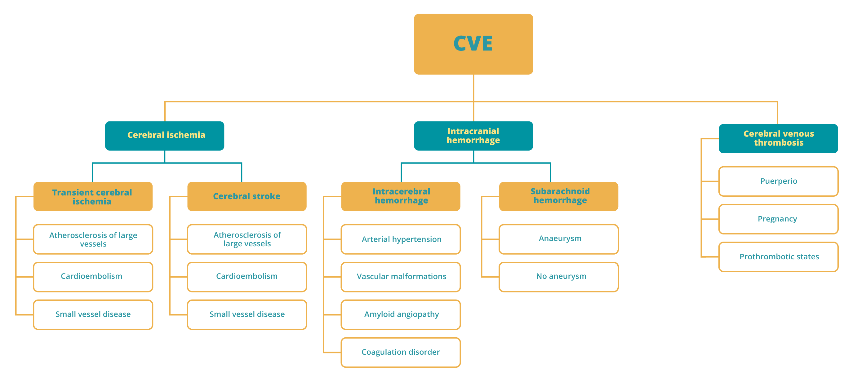 : Etiological factors of the cerebral vascular event (Sancho & Rodríguez, 2012)
