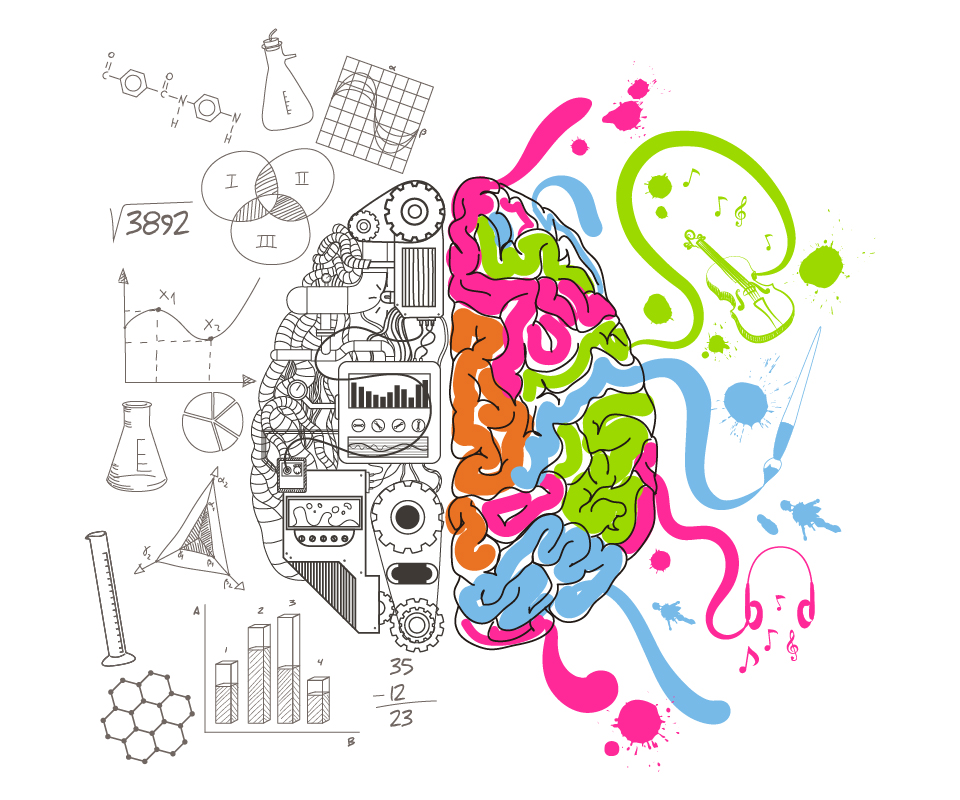 Cerebro en dos contrastes, blanco y negro y la otra mitad en colores.