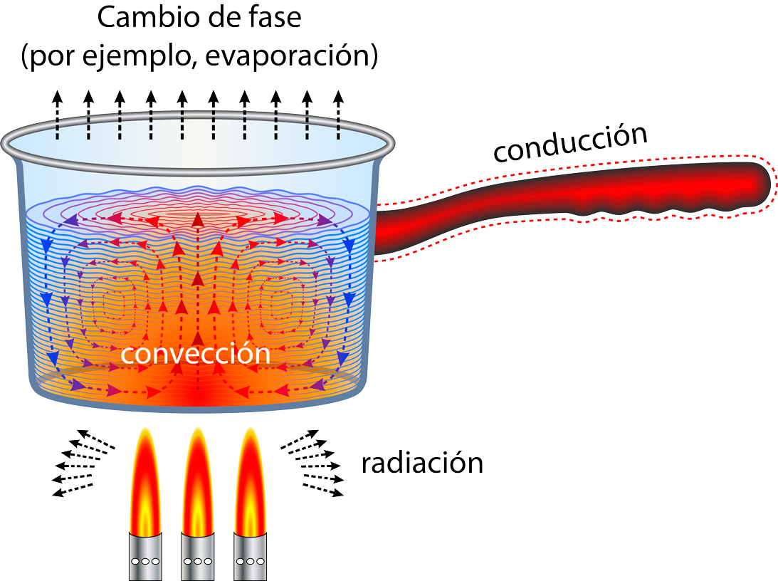 Mecanismos de transferencia de calor ejemplificado en una olla con agua y siendo calentada
