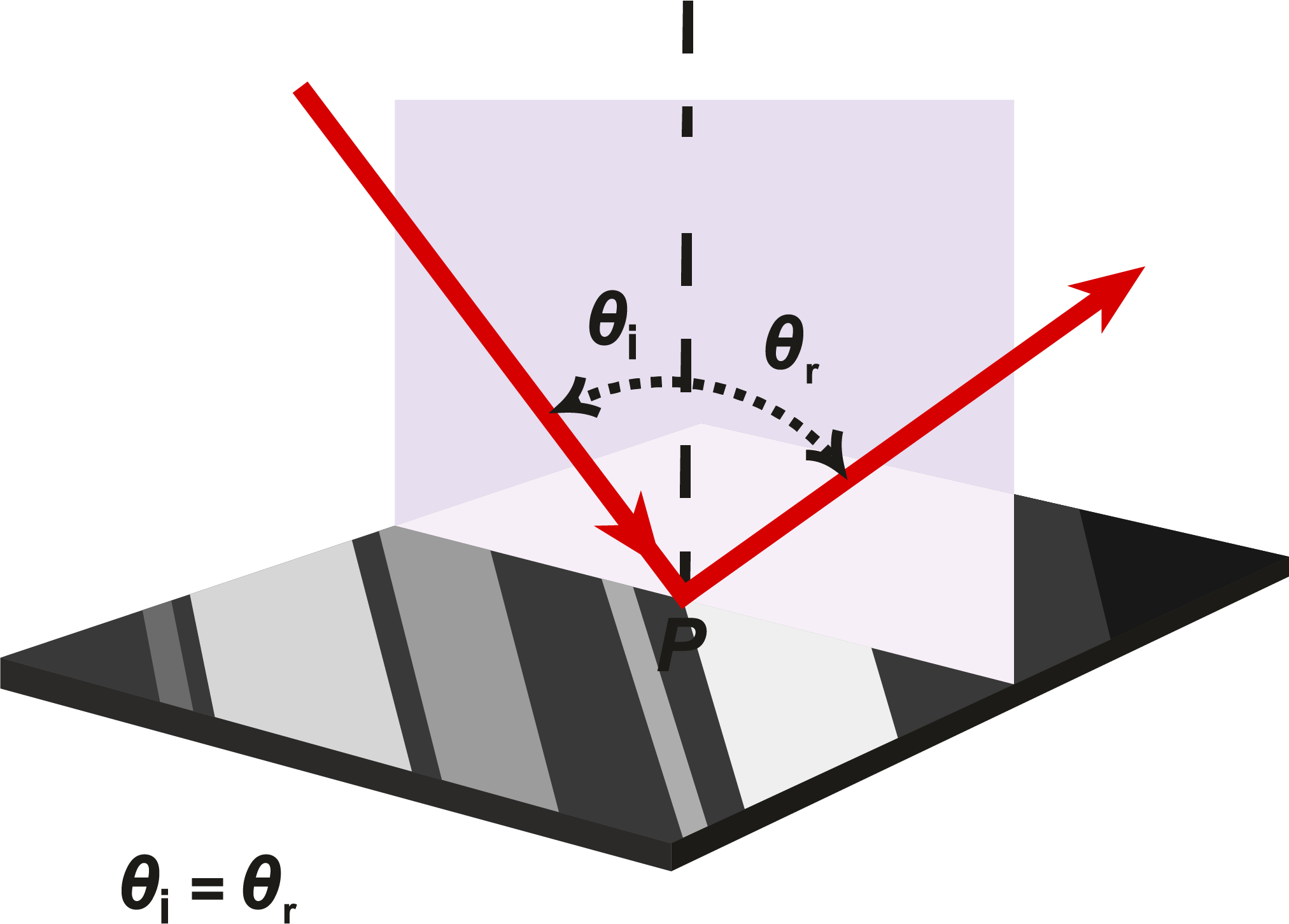 imagen introducción