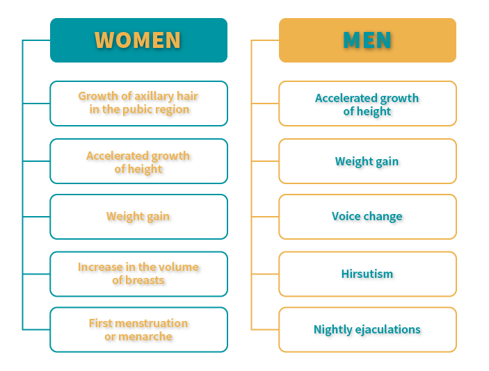 Some physical changes in the adolescent