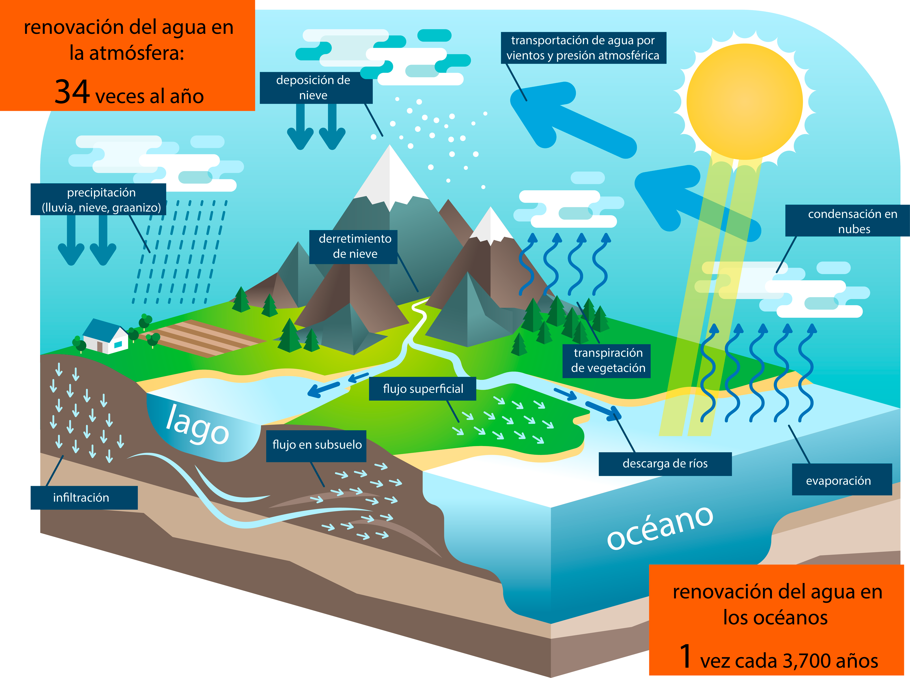 Ciclo del Ciclo del agua