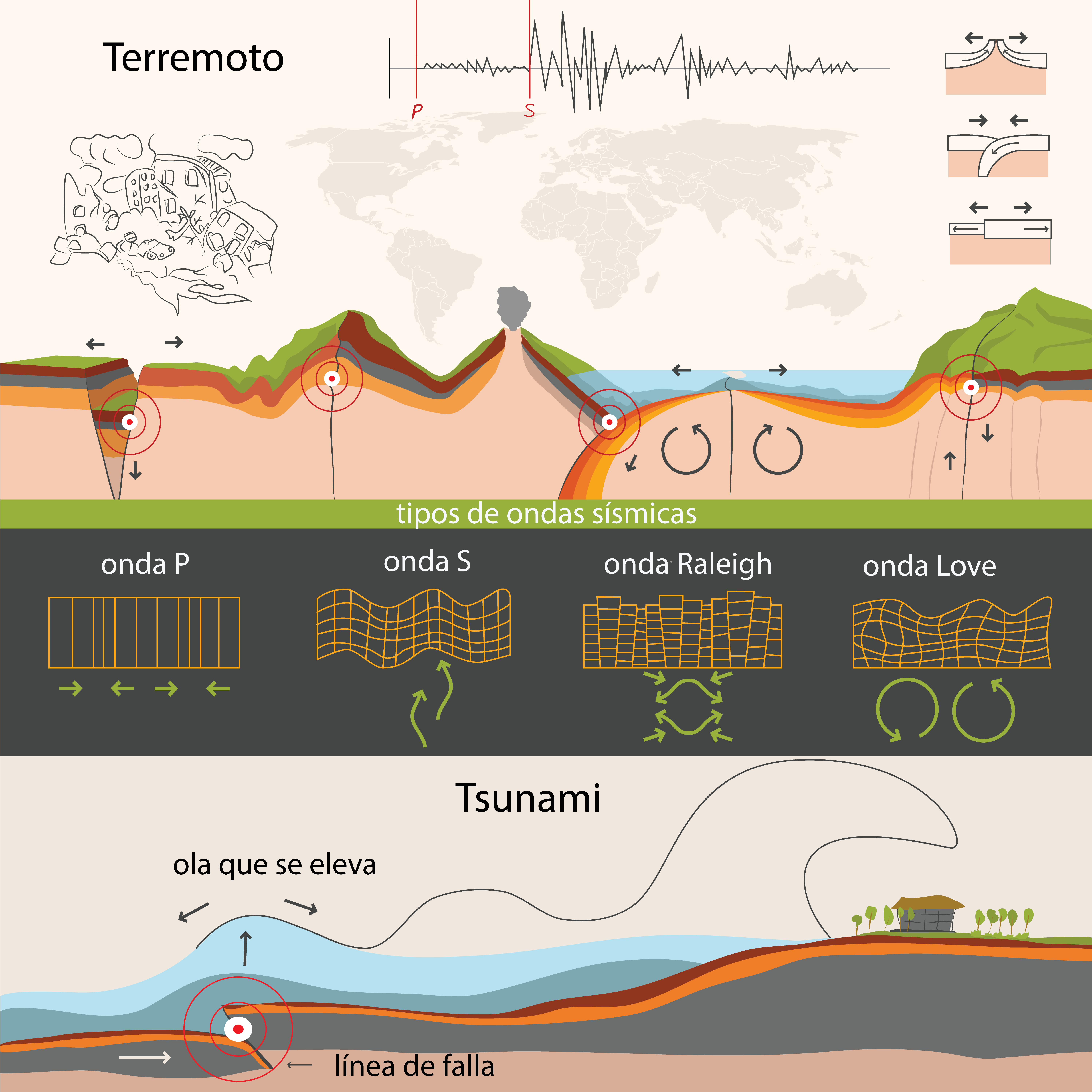 Ondas P, S, Raleigh y Love durante un terremoto, y línea de falla y ola que se eleva durante un tsunami
