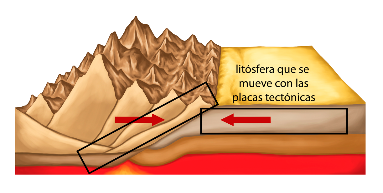 Ondas P, S, Raleigh y Love durante un terremoto, y línea de falla y ola que se eleva durante un tsunami