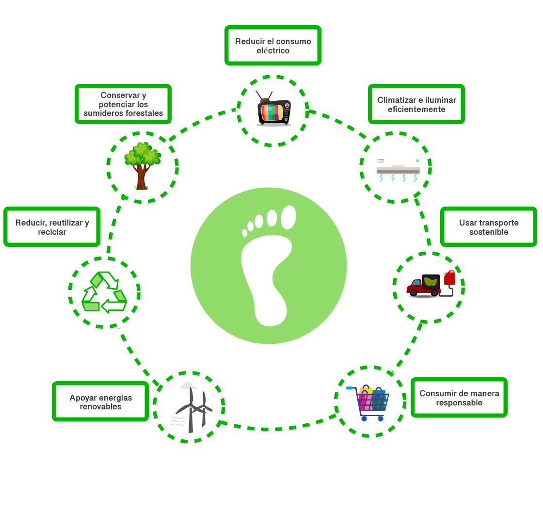 Diagrama de ciclo con siete círculos. El primero representa la reducción de consumo eléctrico con una televisión y un radio, el segundo la climatización e iluminación con un ventilador y una lámpara, el tercero el uso de transporte sostenible con un vehículo, el cuarto el consumo responsable con un carro lleno de productos, el quinto el apoyo de energía renovable con una hélice, el sexto el reciclaje con un triángulo formado por tres flechas y el séptimo la conservación de flora con un árbol