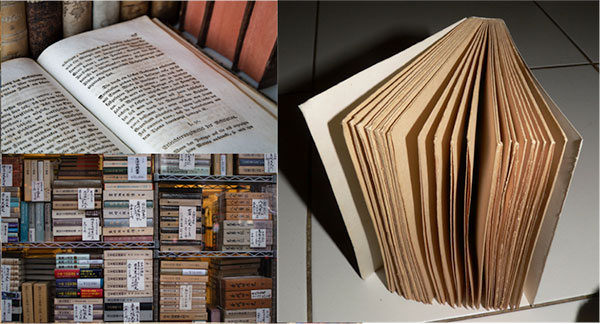 Fotrografías de distintas tesis