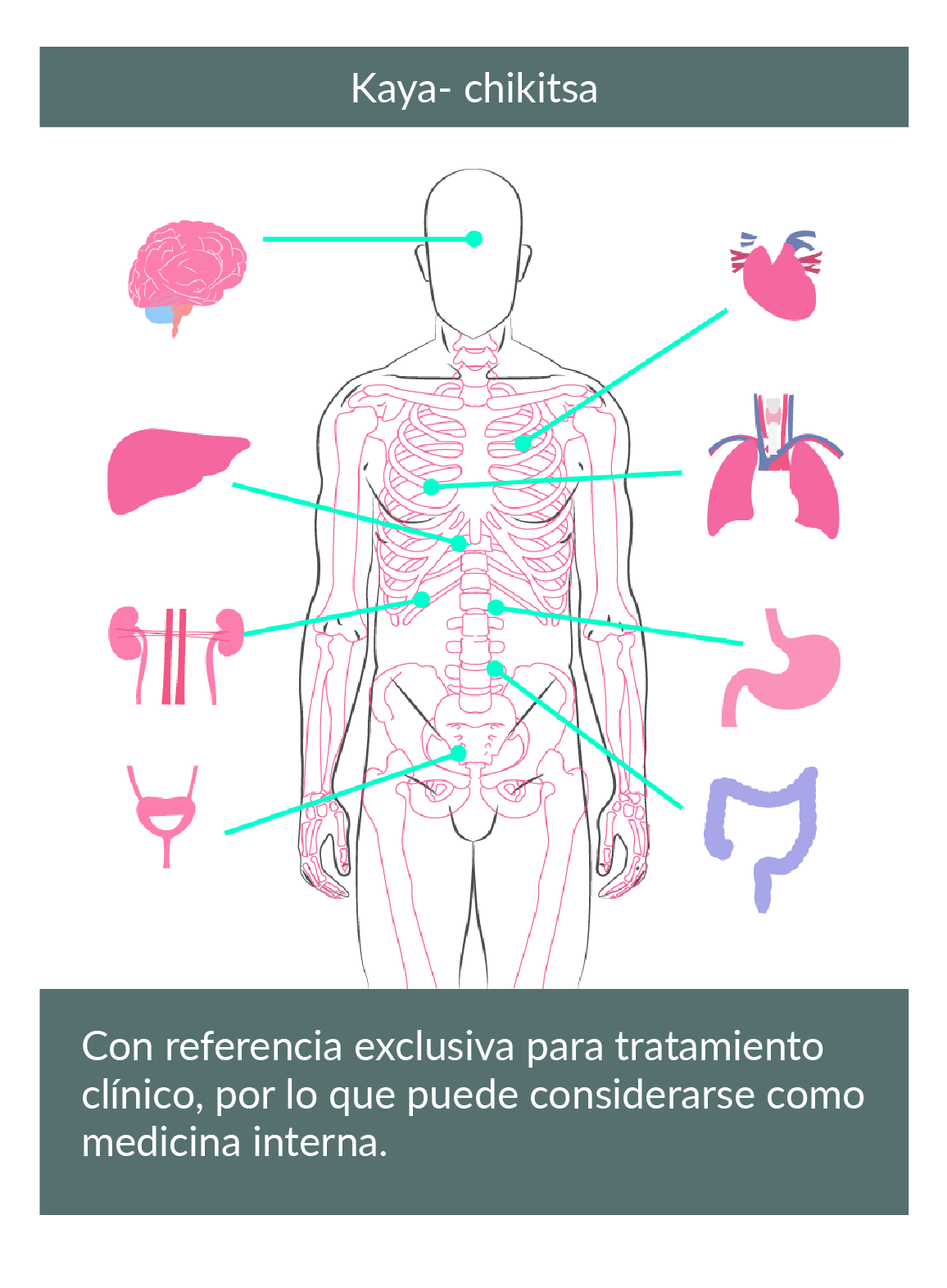Dibujo en donde hay una persona, donde sobresalen los órganos del cuerpo