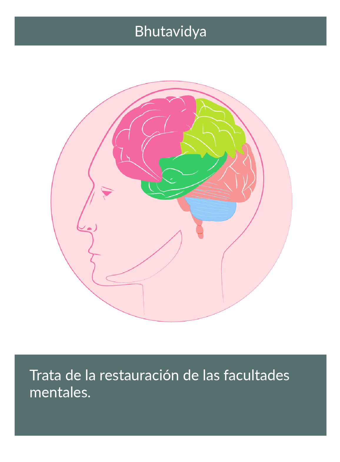 Dibujo en donde se observa el cerebro