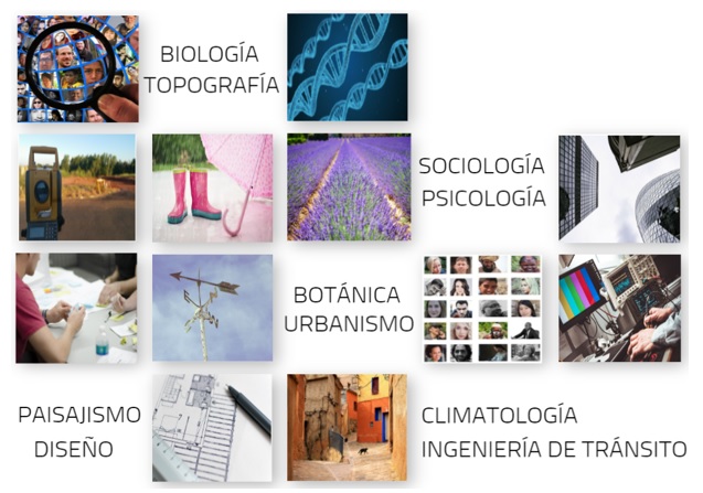 Proyectos multidisciplinarios.