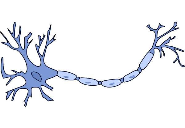 Neurona