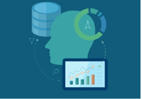 Estanterías y mobiliario de madera