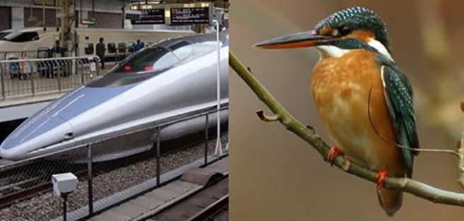 El Martin pescador y el tren bala