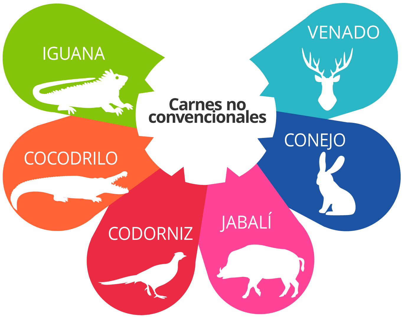 Ilustración de carnes no convencionales para venta.