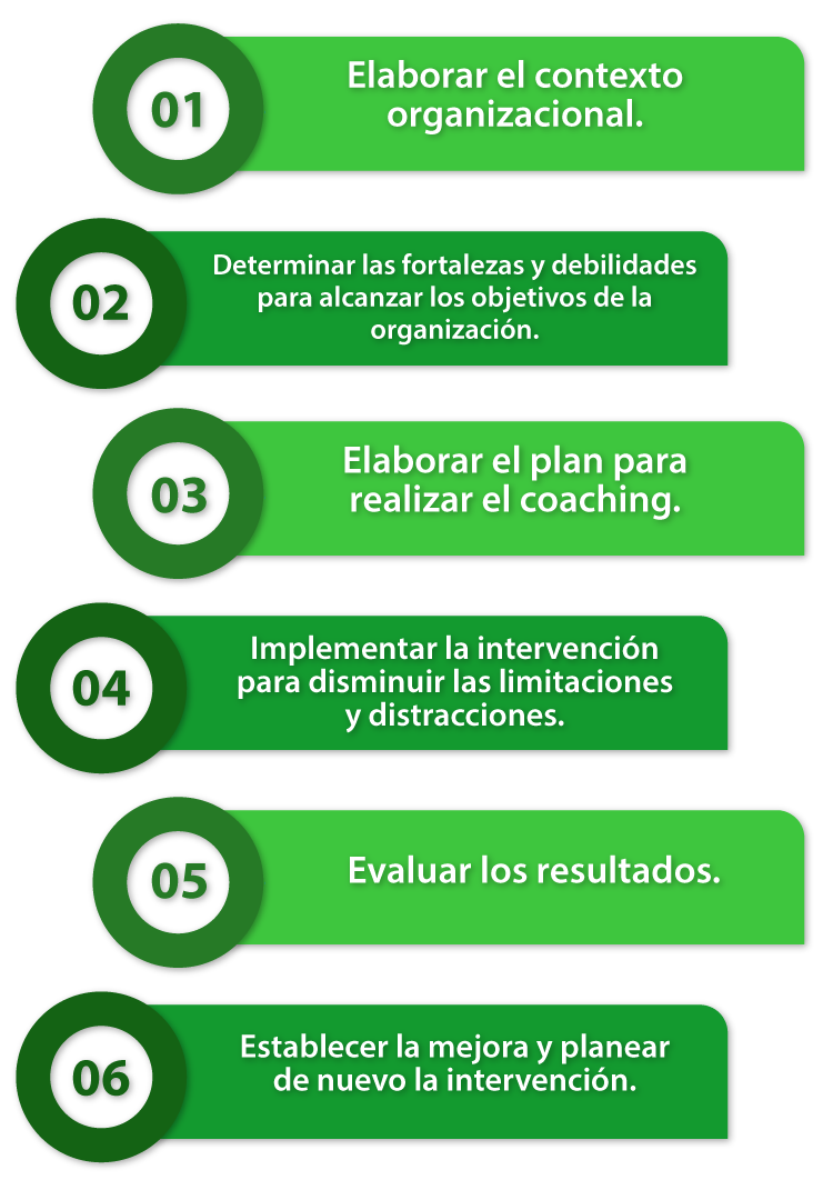Esquema de los elementos de la intervención