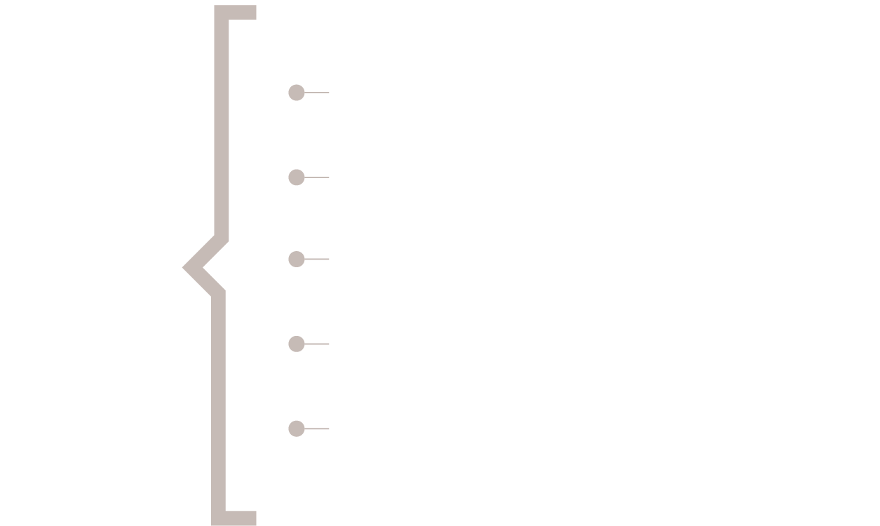 Esquema 1. Atributos del salario