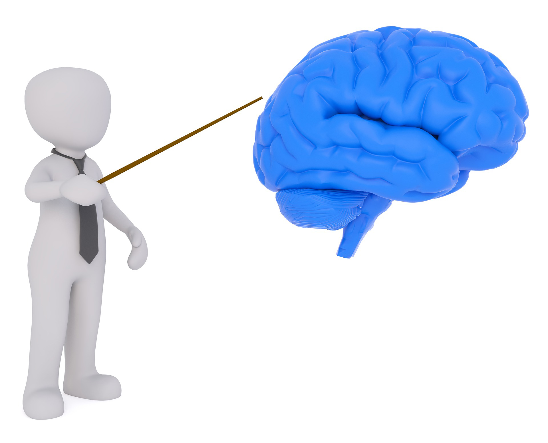 Silueta humana que señala un cerebro.