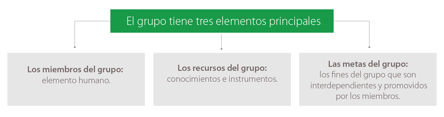 Esquema de los elementos principales del grupo